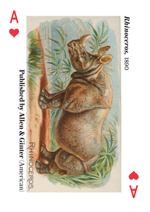 The Metropolitan Museum Of Art Animal Playing Cards - Have To Have It NZ