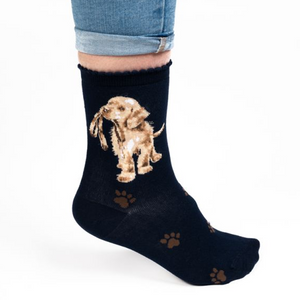 Wrendale 'Hopeful Puppy' Labrador Socks & Gift Bag - Have To Have It NZ