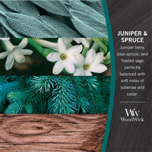 Load image into Gallery viewer, Woodwick Medium Juniper &amp; Spruce Candle - Have To Have It NZ